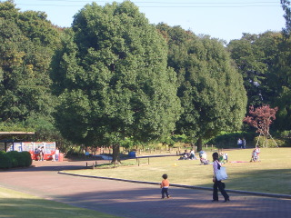 d0024523_1624724.jpg