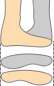 c0023937_1545848.gif