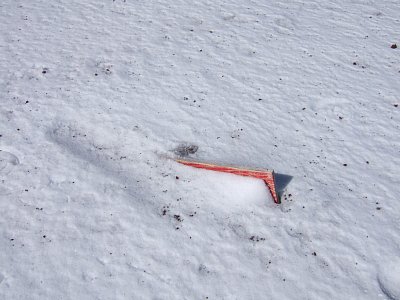 初冬　富士山へ_a0016346_2252439.jpg