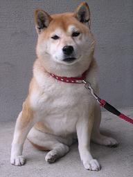 厳戒体制なんか。。。_c0049950_2182494.jpg