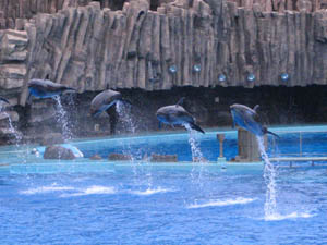 名古屋港水族館（２） ～ イルカ・パフォーマンス_b0001154_17294898.jpg