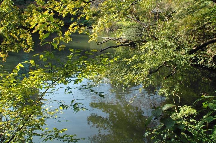 八芳園での結婚式_d0037157_8514536.jpg