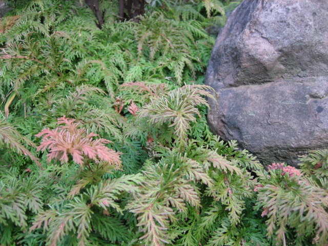d0068757_18223611.jpg