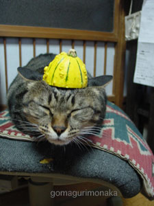 かざりかぼちゃのせのせ_a0064067_1192650.jpg
