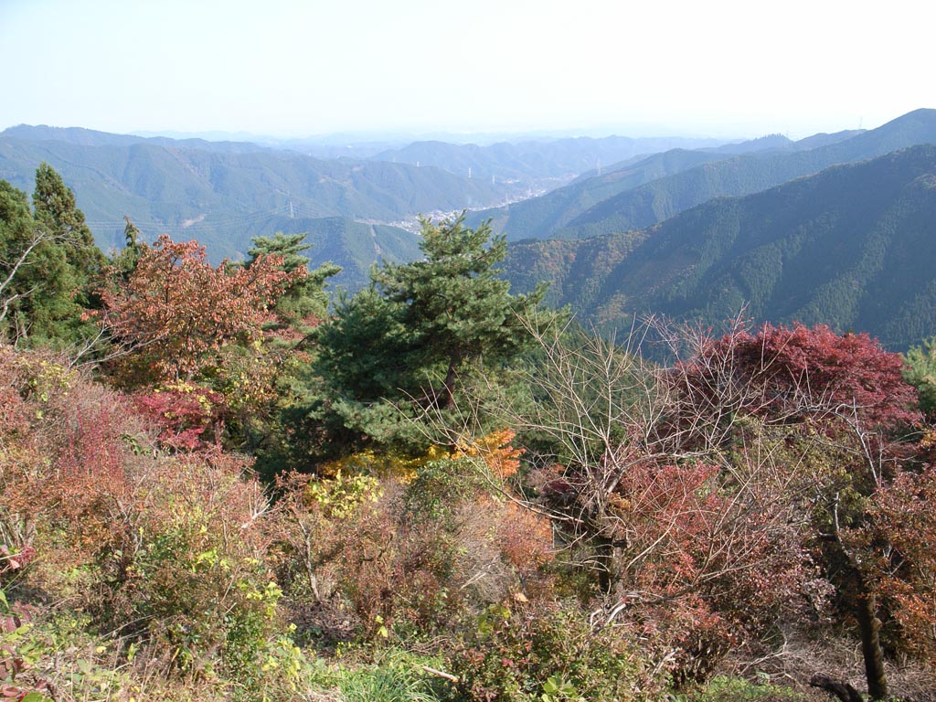 e0071178_2271477.jpg