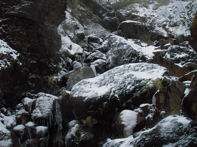 a0043193_12144865.jpg