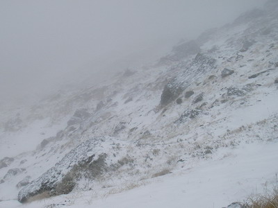 a0043193_1214576.jpg