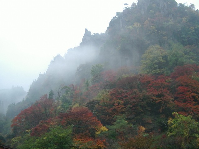 a0020295_1816448.jpg