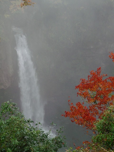 a0020295_18253214.jpg