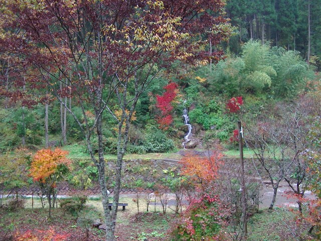 a0020295_1831469.jpg