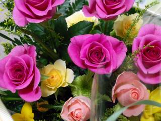 b0005001_014993.jpg