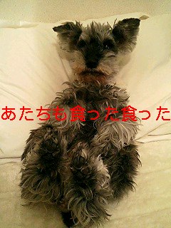 食って食って_a0050302_3195535.jpg