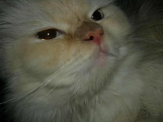 b0054904_21274650.jpg