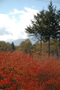d0052904_224696.jpg