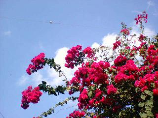 d0017310_23322314.jpg