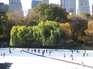 11月13日(日) マンハッタンの紅葉_c0055212_163973.jpg