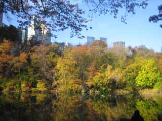 c0055212_16483654.jpg