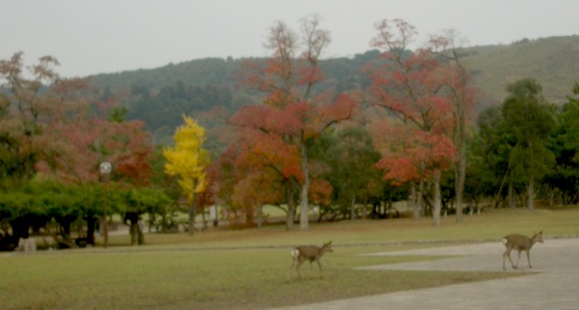 c0066514_11135895.jpg