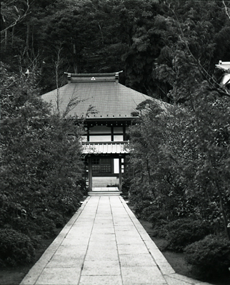 Mamiya RZ67 f2.8  110m in Kamakura_a0062825_2256475.jpg