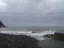 b0004229_2250259.jpg