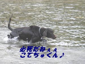 a0068231_13143724.jpg