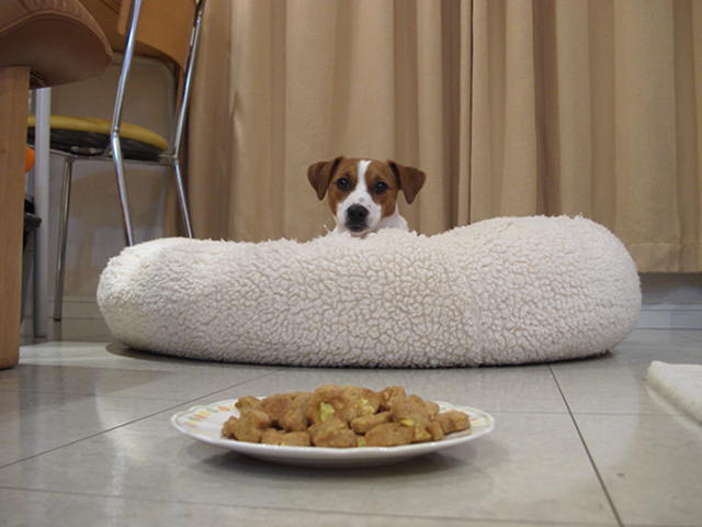 c0035931_08434.jpg