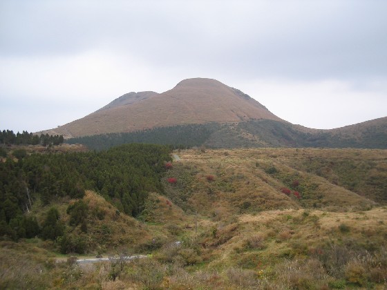 c0051938_57513.jpg