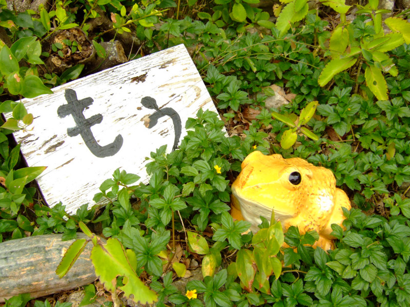 c0039145_23115896.jpg