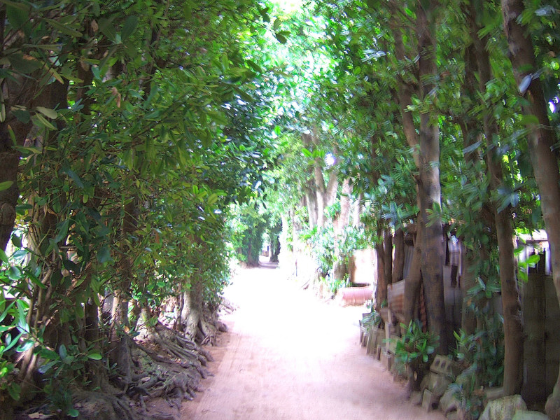 c0039145_23472775.jpg