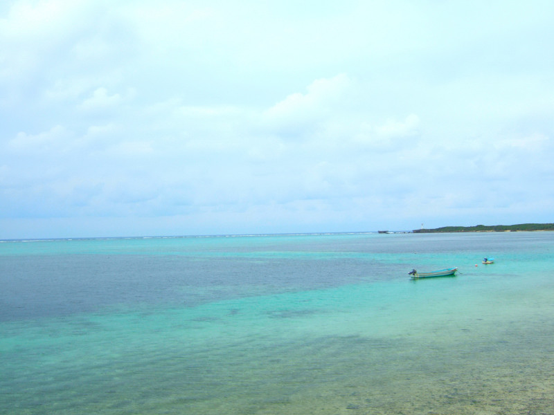 c0039145_23505968.jpg