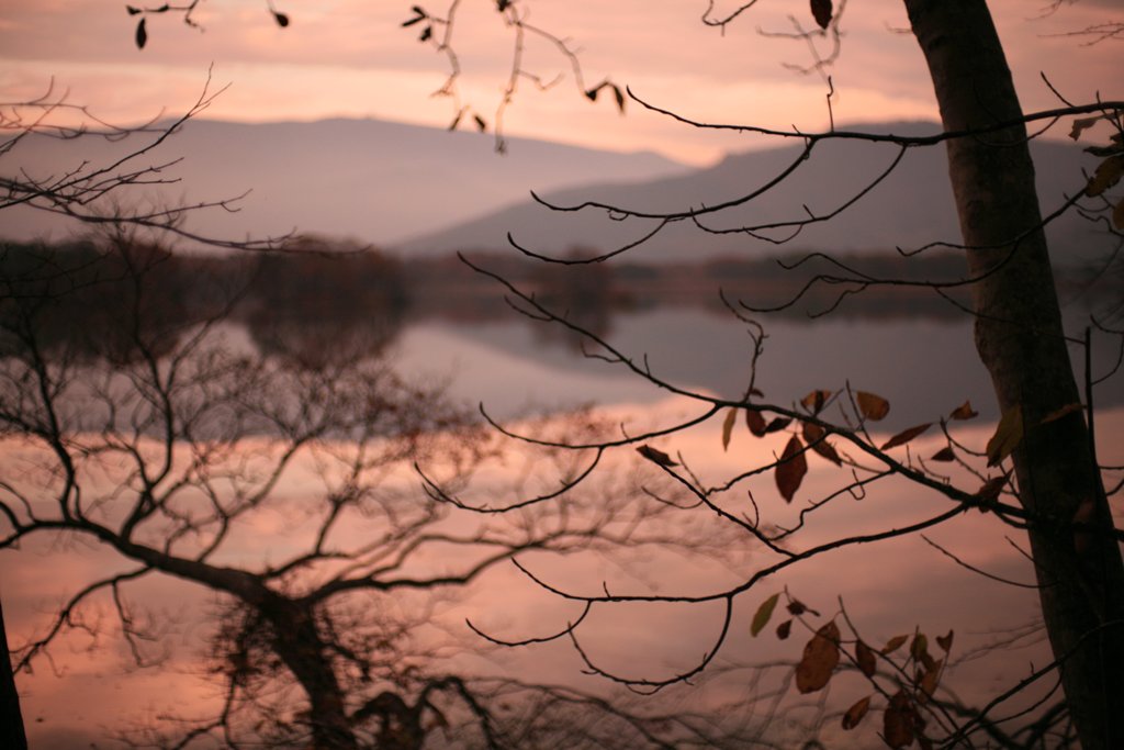 d0001745_382076.jpg
