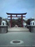 e0074253_93925.jpg