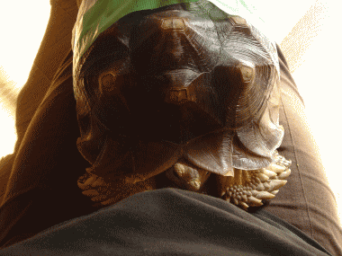 b0055276_149776.gif