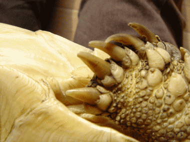 b0055276_25337.gif