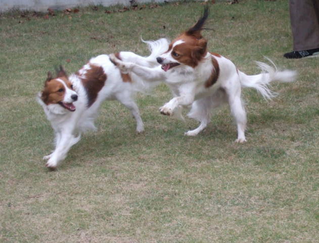 c0075585_021251.jpg