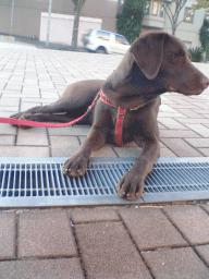 a0066192_19241618.gif