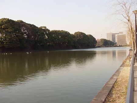 c0051107_22542881.jpg