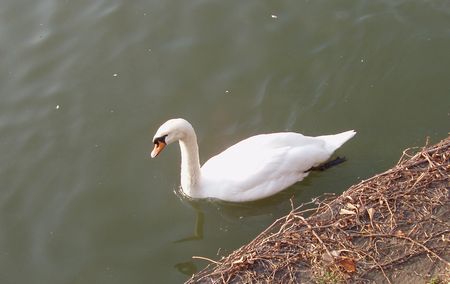 c0051107_22545217.jpg