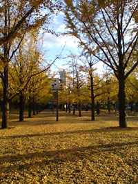 e0056411_2134493.jpg