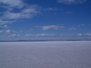 c0009224_20392728.jpg