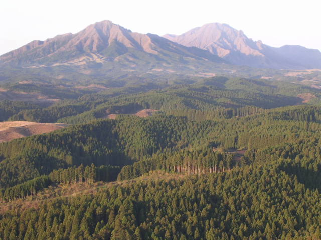 f0000330_21405254.jpg