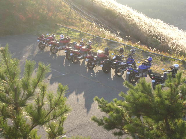 f0000330_21414177.jpg