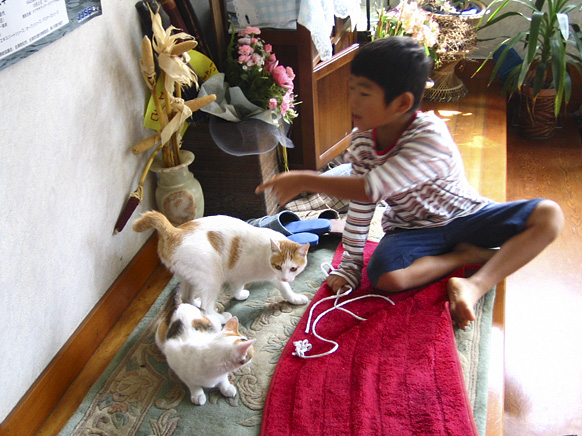 He doesn\'t know the cat is playing. _a0002672_8521252.jpg