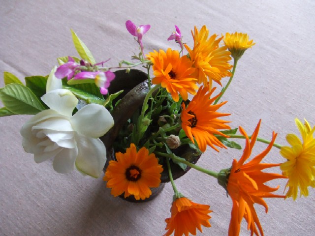 c0062603_1445164.jpg