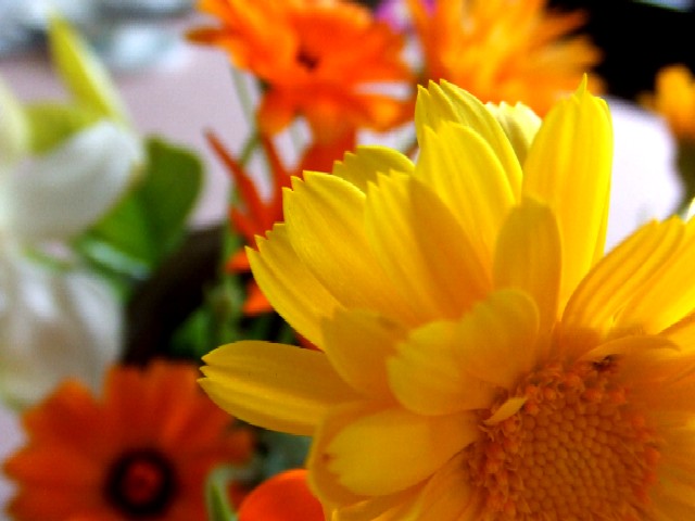 c0062603_1455251.jpg
