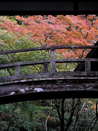 光明禅寺_e0040604_801441.jpg