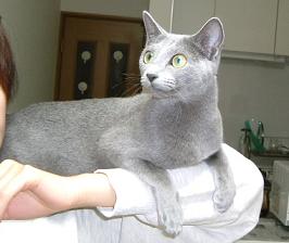c0000307_9584463.jpg