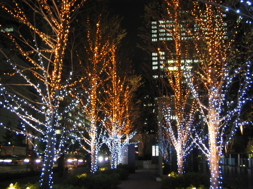 b0046210_15511798.jpg