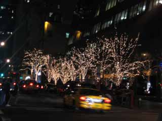 c0055212_1521743.jpg