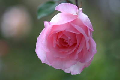 a0067720_2282971.jpg